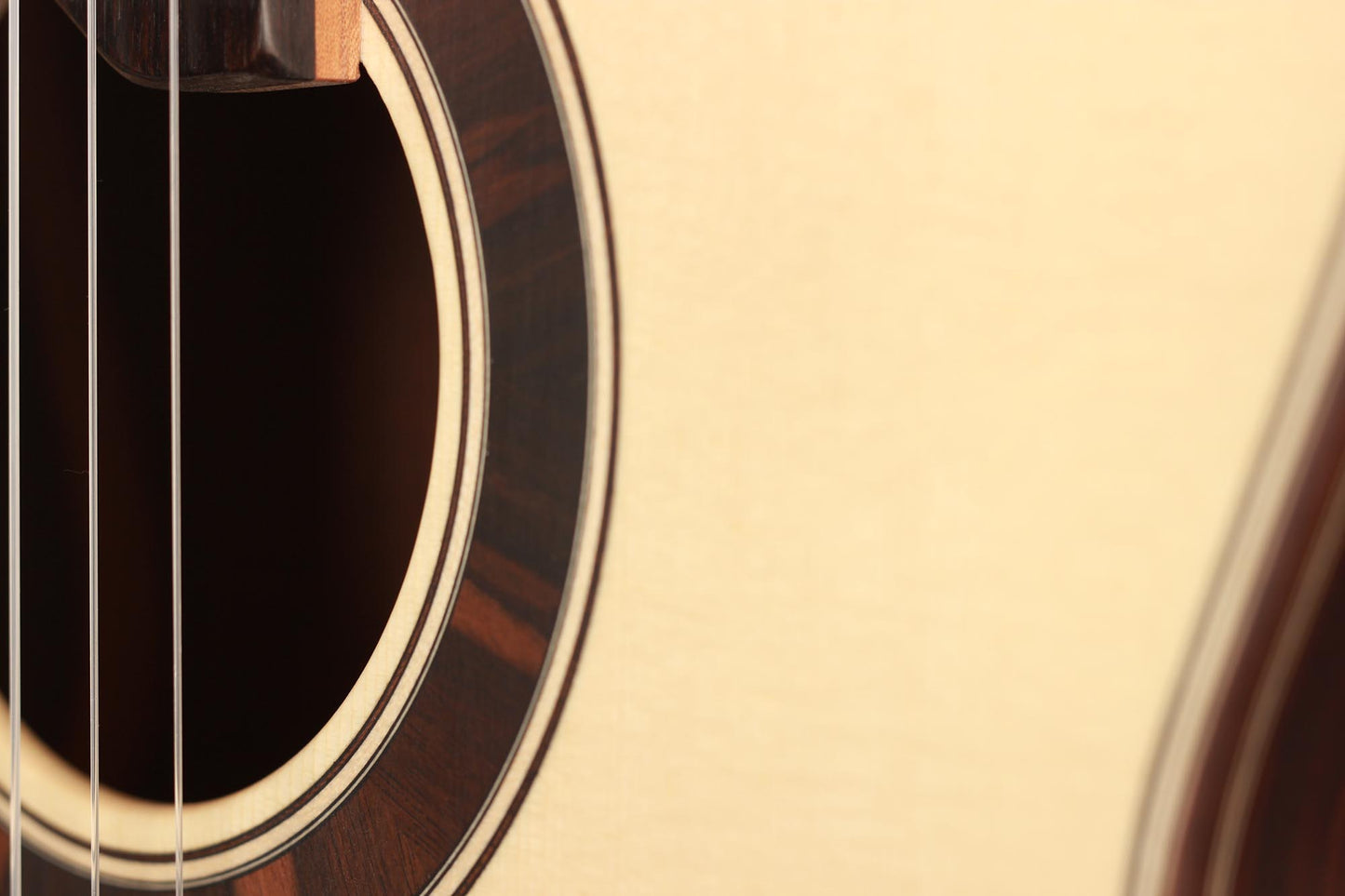 Armin Hanika - New Century Lattice