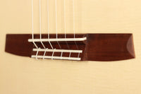 Armin Hanika - New Century Lattice