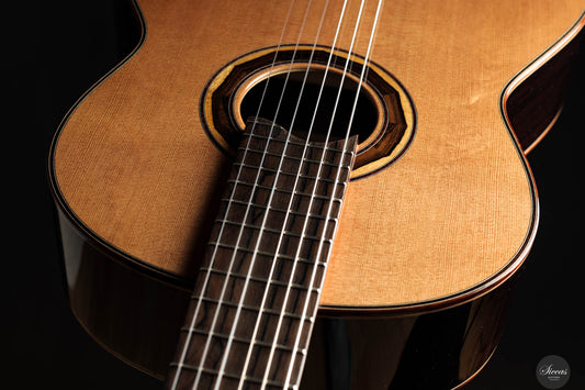 Armin Hanika - 1a DTL Custom - Elevated fingerboard img-2