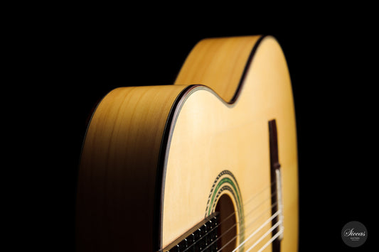 Armin Hanika - Flamenco ZF img-2