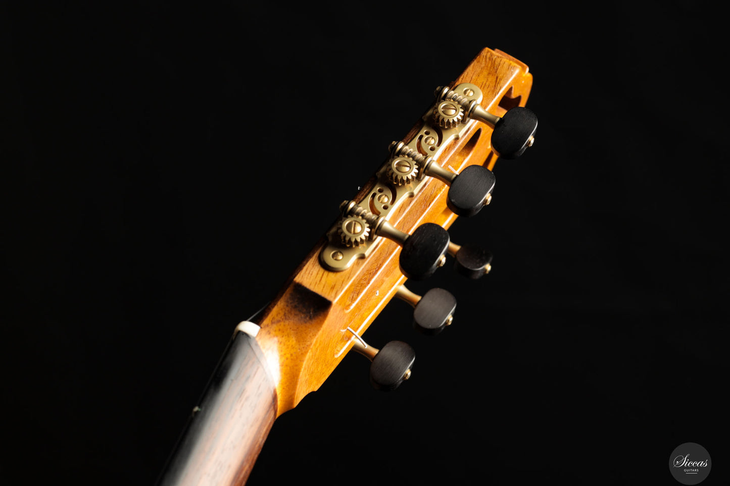 Dieter Hopf - 2019 - La Portentosa Evolucion Nr.120