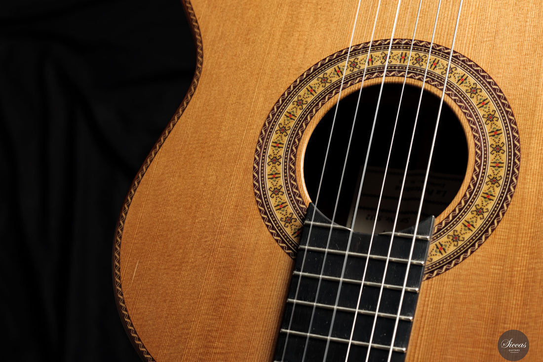 Dieter Hopf - 2019 - La Portentosa Evolucion Nr.120