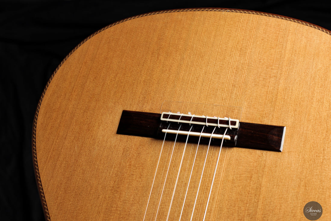 Dieter Hopf - 2019 - La Portentosa Evolucion Nr.120