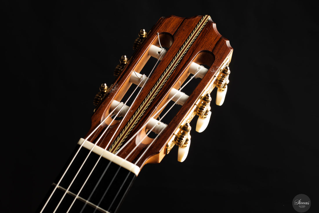 Erez Perelman - 2022 - Spruce/Cypress