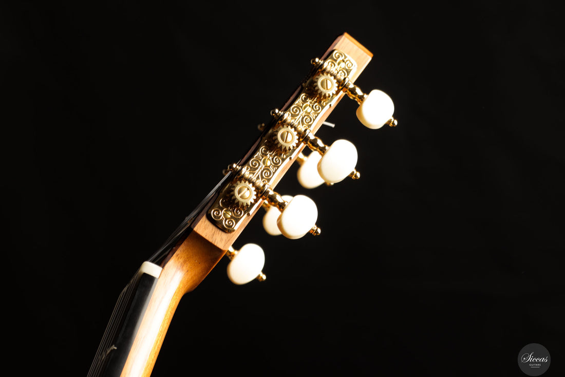 Erez Perelman - 2022 - Spruce/Cypress