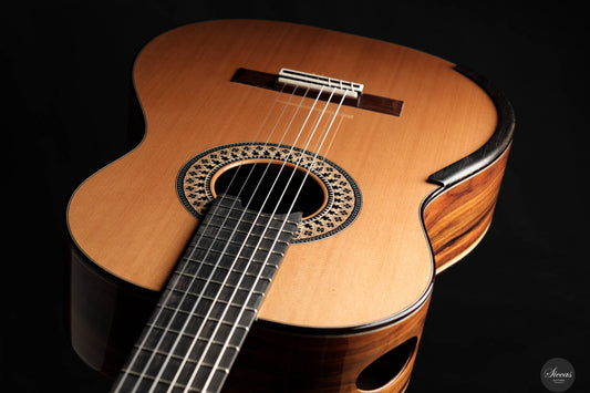 Fernando Mazza - 2024 REG 2024 Limited Edition Lattice