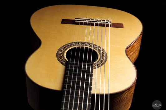 Heikki Rousu - 2025 No. 486 10-string