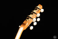 John Ray - 2023 - Torres No.268