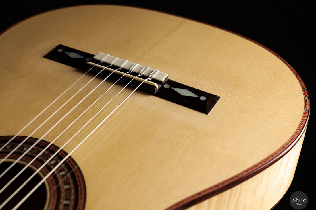 John Ray - 2023 - Torres No.268