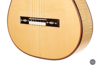 John Ray - 2023 - Torres No.268