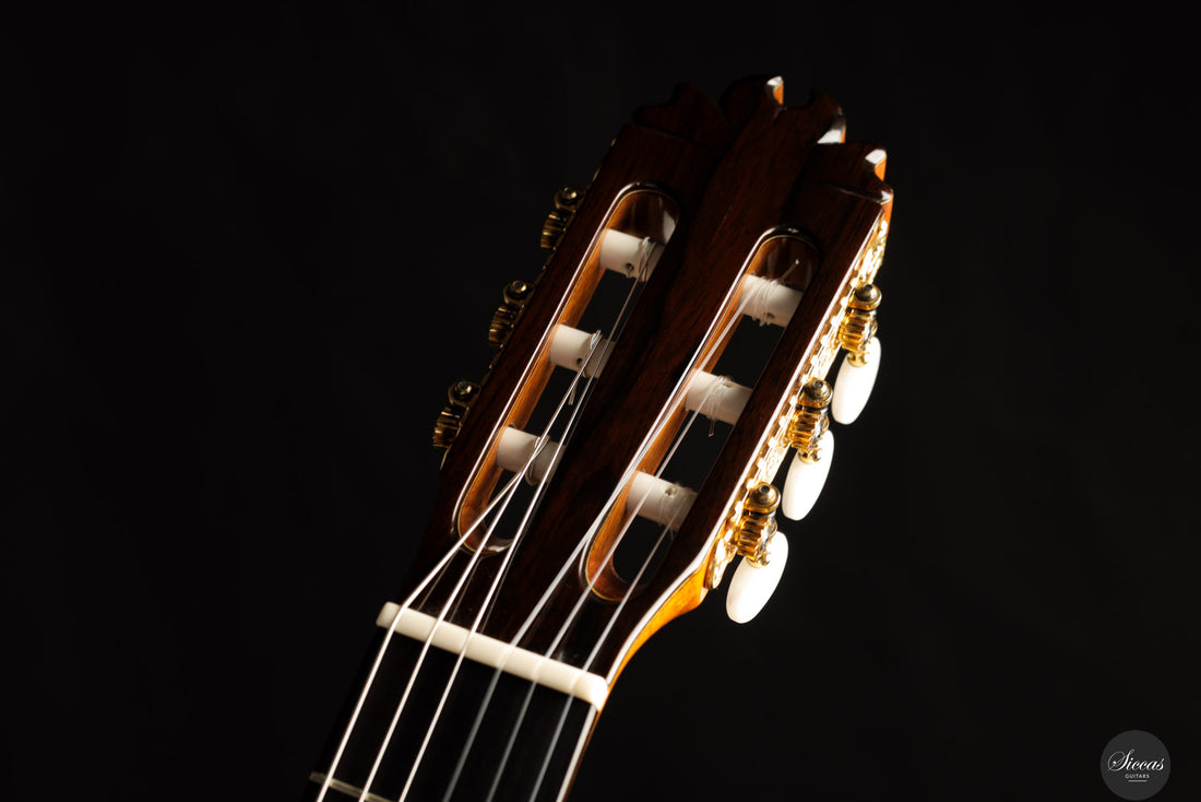 Jose Antonio Lagunar - 2019 - Concierto 1a Especial N.32