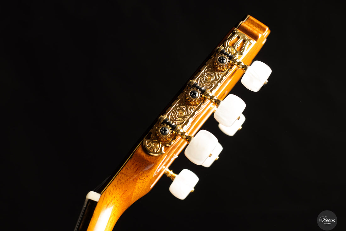 Jose Antonio Lagunar - 2019 - Concierto 1a Especial N.32