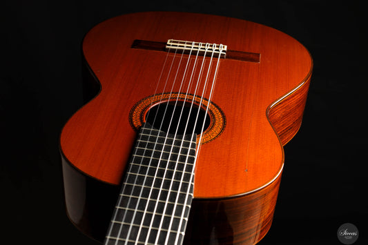 Jose Ramirez - 1976 - 1a No.10098 8-strings