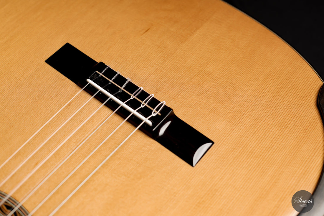 Kim Lissarrague - 2020 Lattice