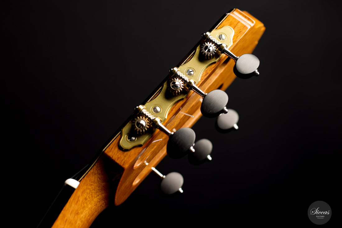 Kim Lissarrague - 2020 Lattice