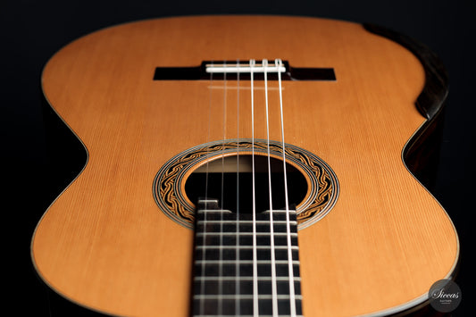 Kim Lissarrague - 2020 Lattice img-2