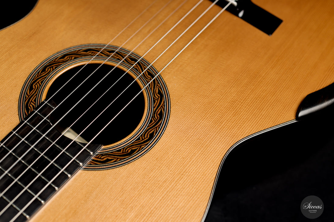 Kim Lissarrague - 2020 Lattice