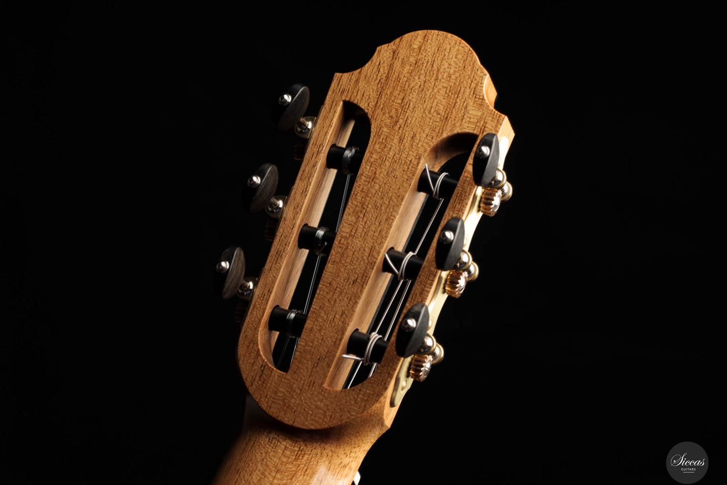 Paul Hildebrandt - 2024 - Fichte / Palisander #13