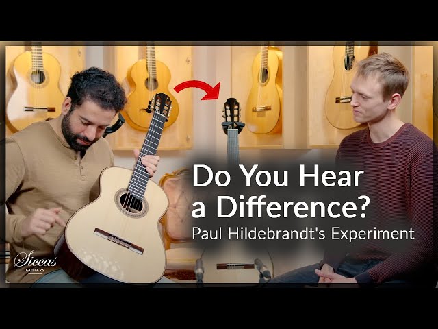 Two Identical Guitars - One Little Change🧑🏼‍🔬 Noticeable Difference? Paul Hildebrandt Experiment
