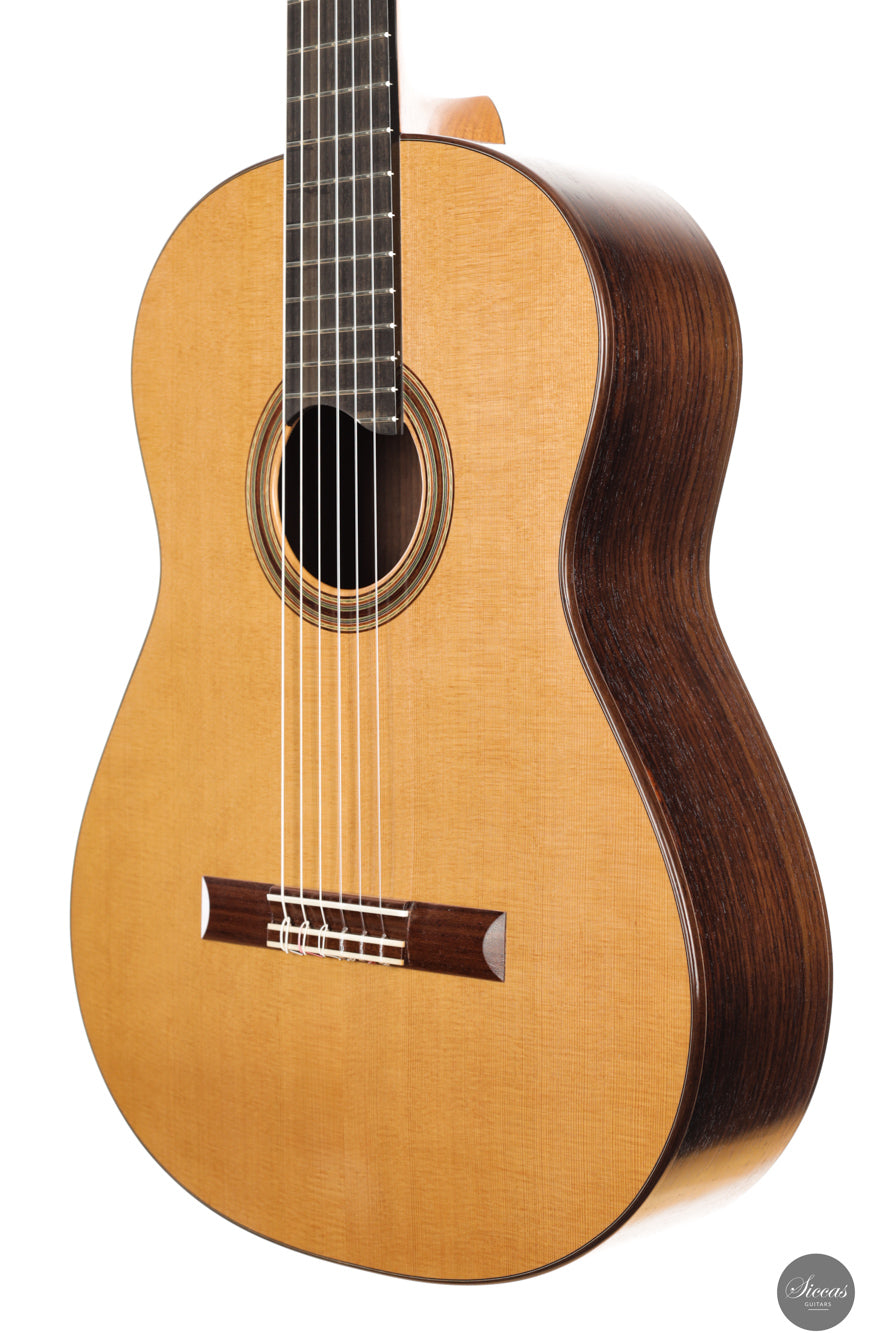 Siccas Luthiers - Craftsman Series by Stephen Eden - Lattice - Front view
