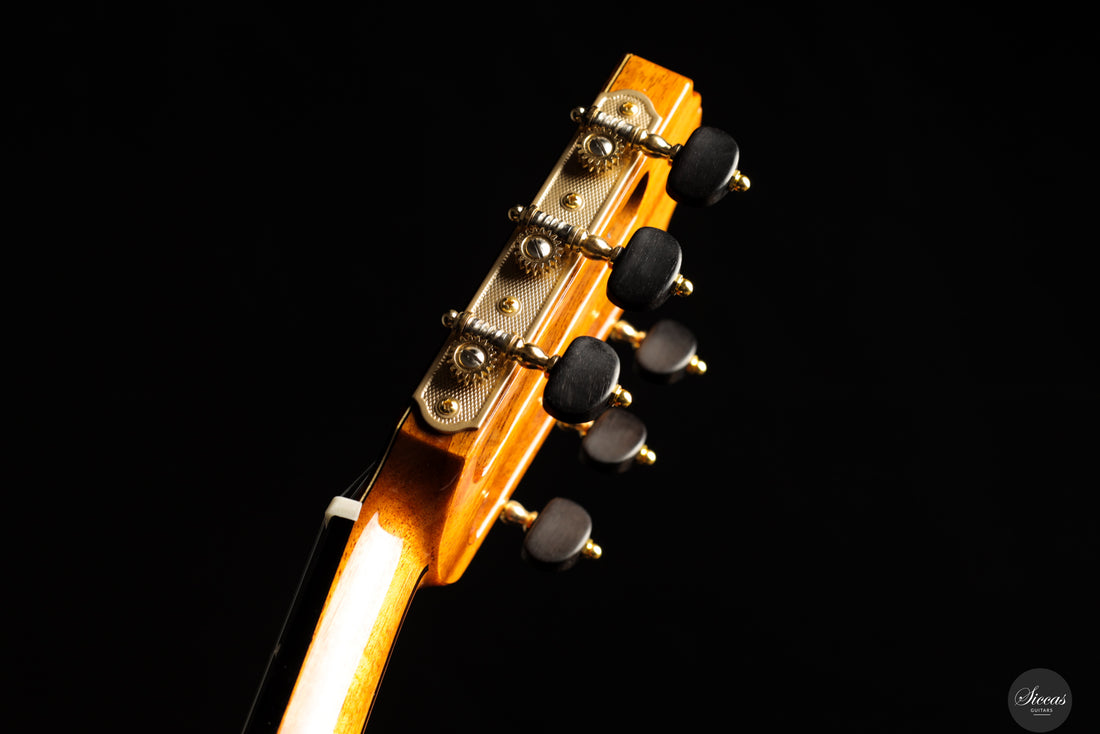 Siccas Luthiers - Recital Traditional Cedar 64 cm