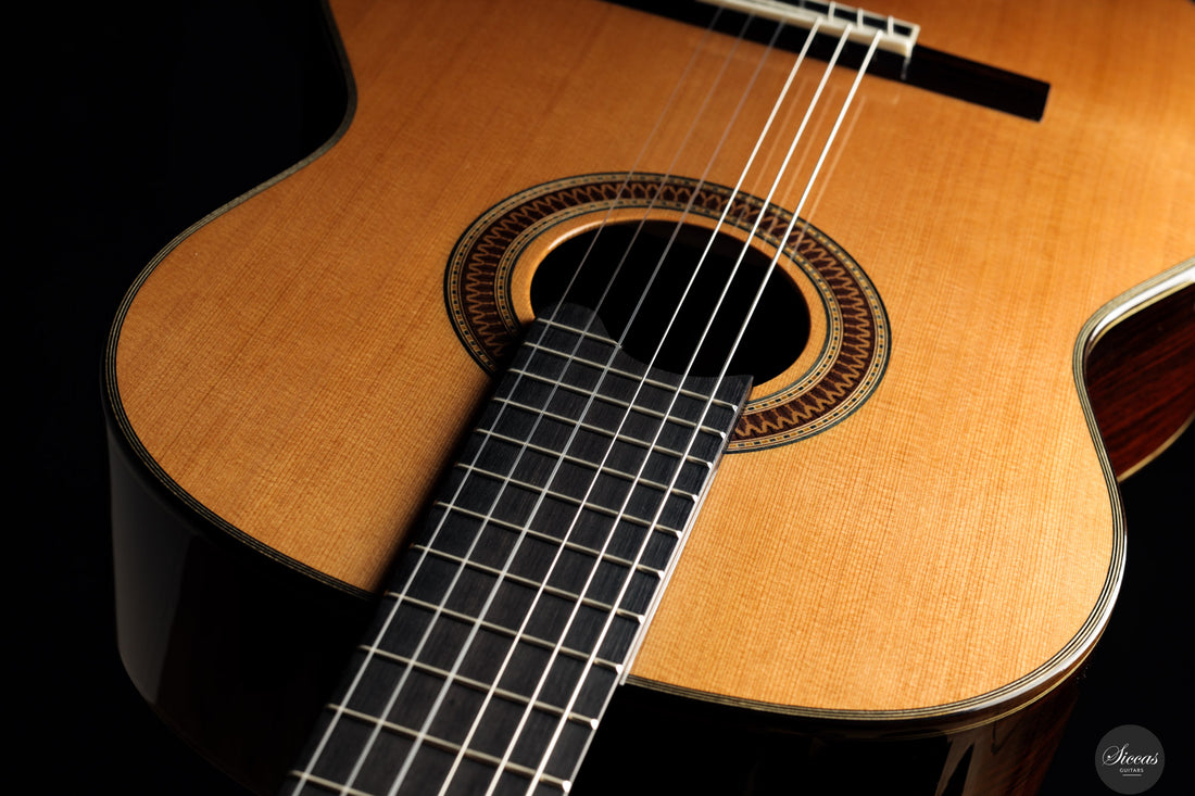 Siccas Luthiers - Recital Traditional Cedar 64 cm - Front view