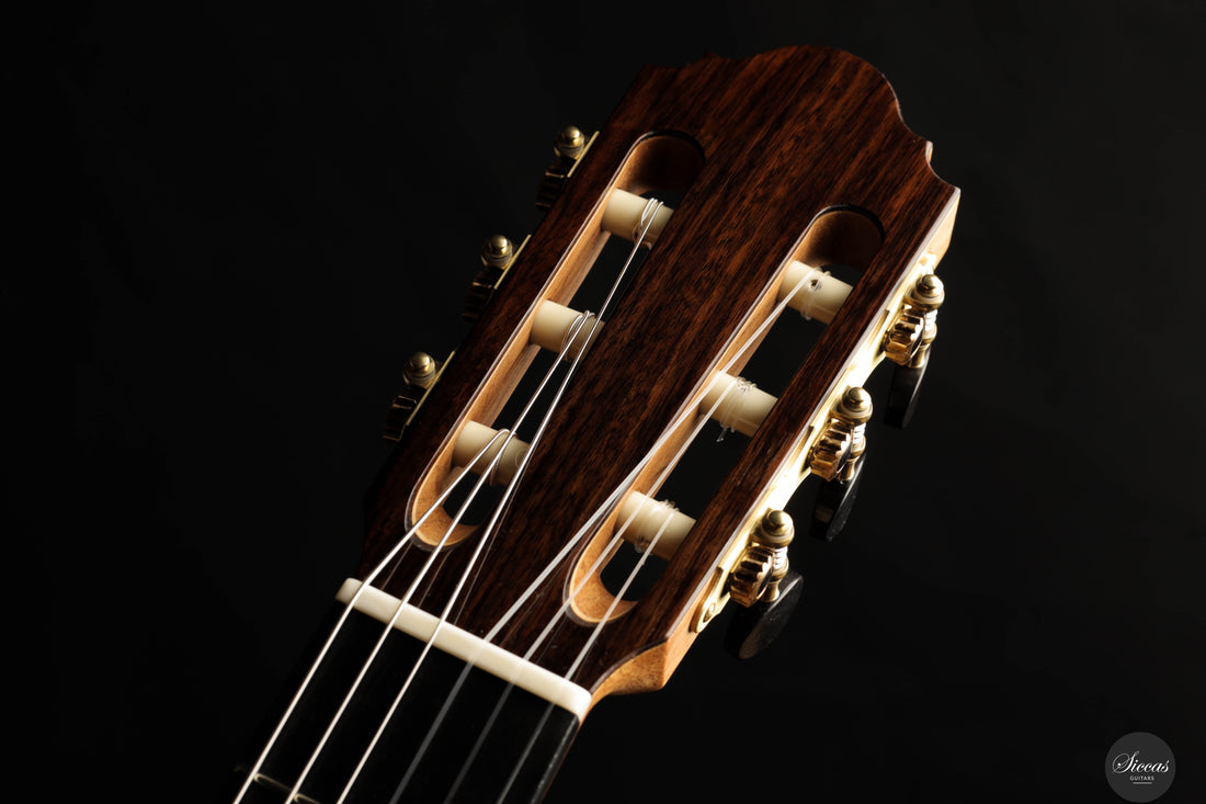 Silvia Zanchi - 2025 - REG Limited Edition Lattice