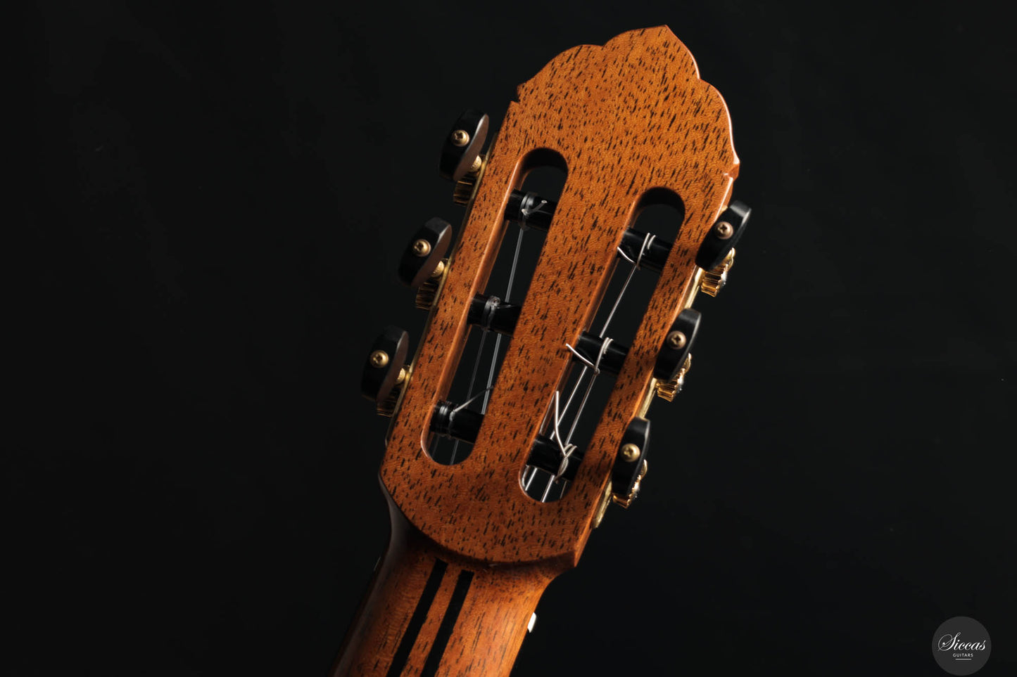 So Kimishima - 2025 - Stella Classic Spruce