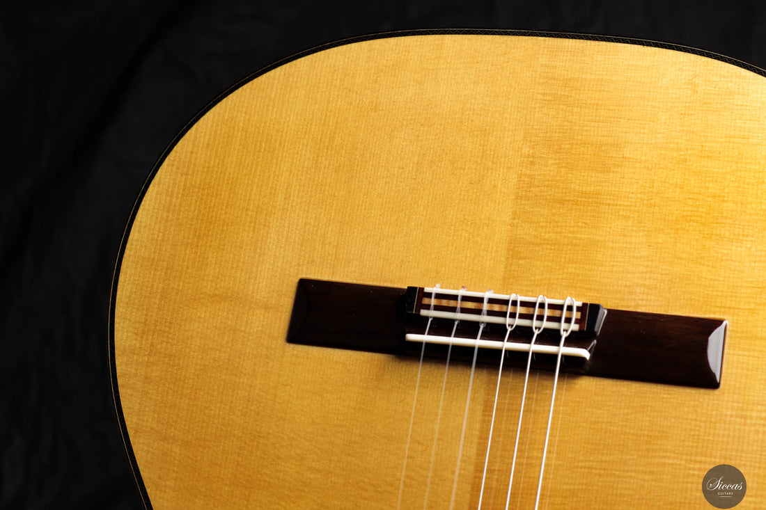 So Kimishima - 2025 - Stella Classic Spruce