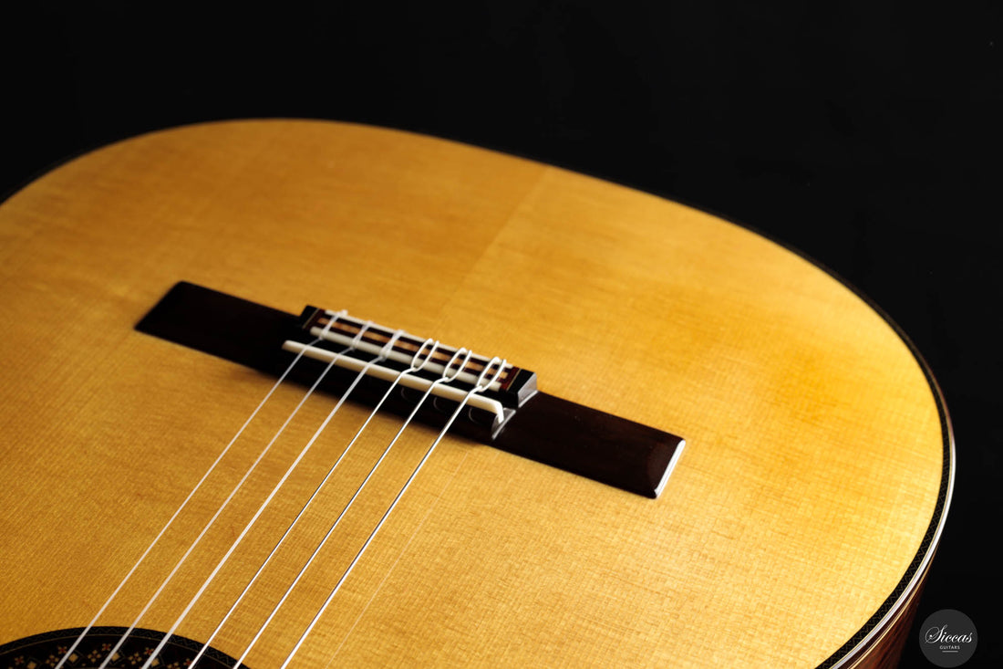 So Kimishima - 2025 - Stella Classic Spruce