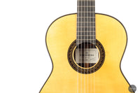 So Kimishima - 2025 - Stella Classic Spruce